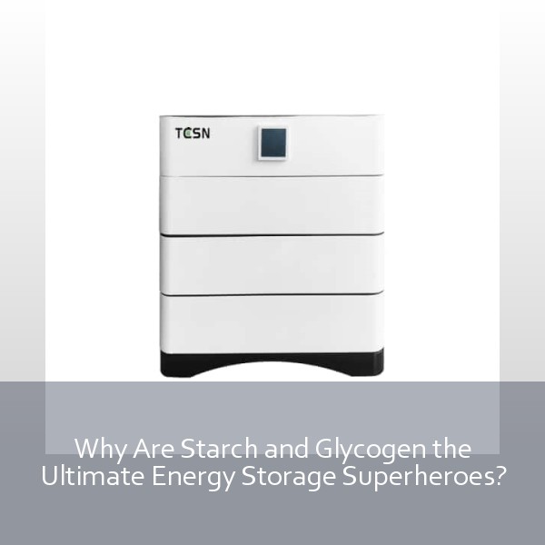 Why Are Starch and Glycogen the Ultimate Energy Storage Superheroes?